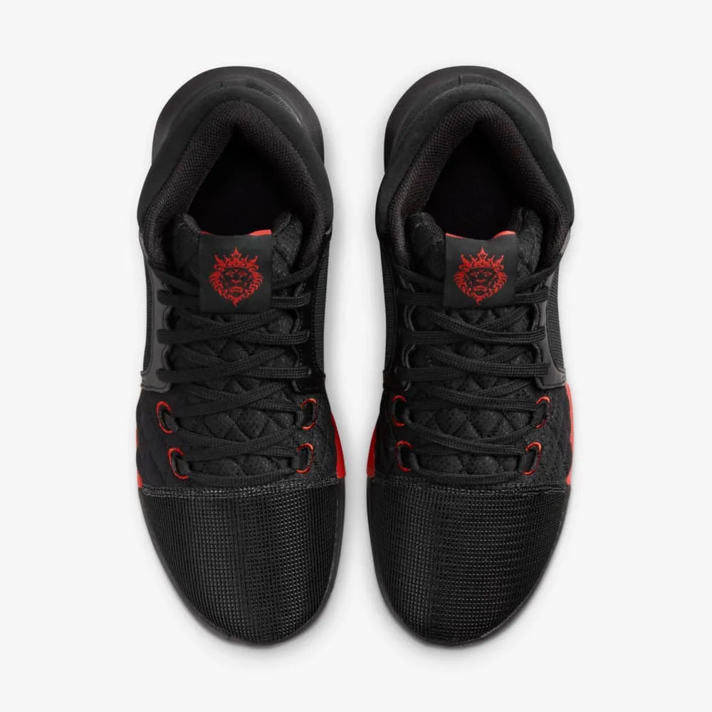 Lebron Witness 8