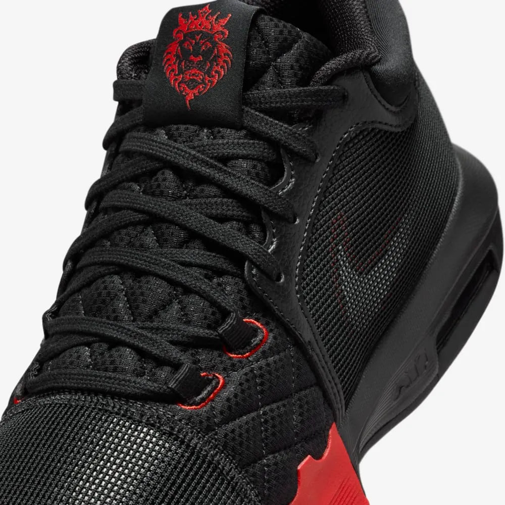 Lebron Witness 8